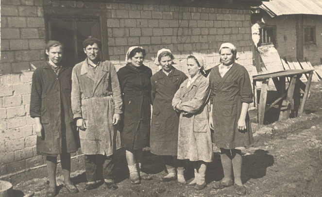 Vaizdas:Auksodes kolukio melzejos.MKE.jpg