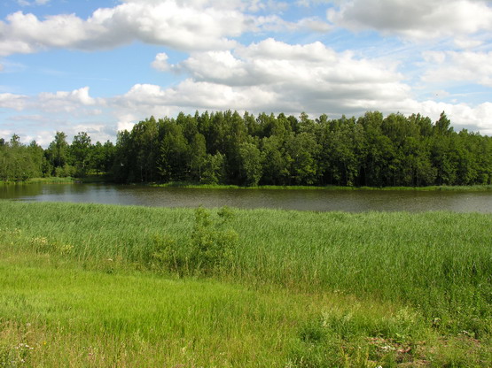 Vaizdas:JuodeikeliuI tvenkinys.MKE.2009-07-05.jpg