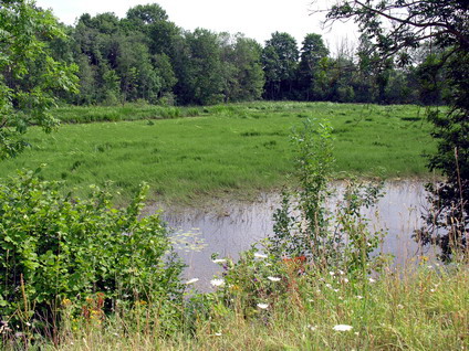 Vaizdas:Lelaiciu tvenkinys3.MKE.2006-07-12.jpg