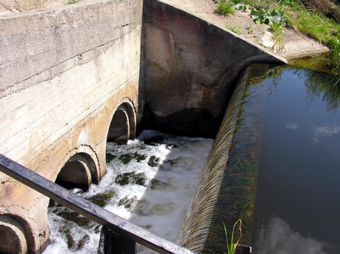 Vaizdas:Paserksnes tvenkinys.Pralaida.MKE.2009-08-03.jpg