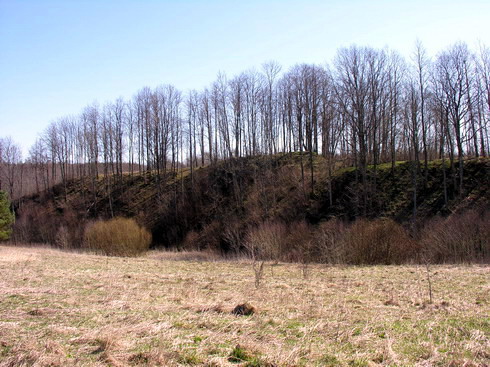 Vaizdas:Vadagiu piliakalnis. MKE.jpg