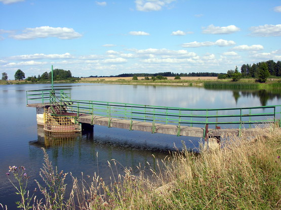 Vaizdas:Viliotes tvenkinys1.MKE.2009-08-09.jpg