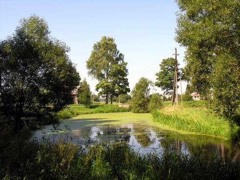 Vaizdas:Zemales II tvenkinys1.2007-08-10.MKE.jpg