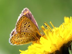 240919-03 copy-2.jpg