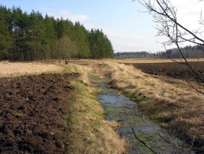 Biesakis Krakių k.