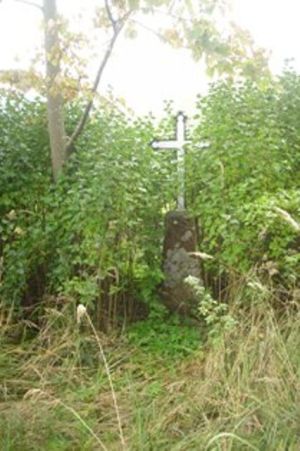 DSCI0282.JPG