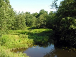 Dabikinė Dainorių k.