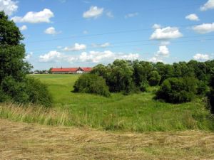 Daubariai.MKE.2009-07-14.jpg