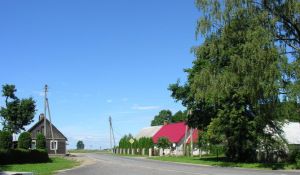 Geidziai1.MKE.2010-08-05.JPG