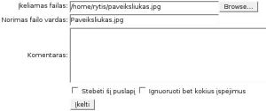 Iir failo pvz.jpg