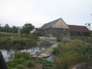 Lt 018.jpg