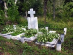 Mazuju Dapsiu kaimo kapines.MKE.2008-08-14.jpg