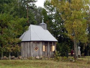 Purpliu koplycia.MKE.2009.jpg