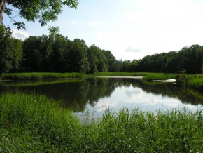 Rities I tvenkinys.MKE.2009-07-30.jpg