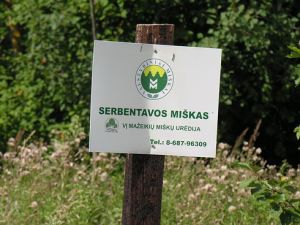 Serbentavos miskas.MKE.2011-08-02.jpg