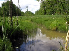 Skutulas Juodeikėlių k. ties Pikelių-Kugių vieškeliu