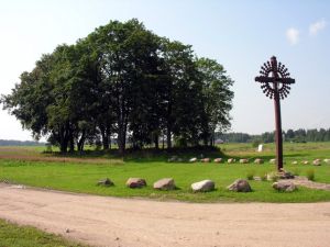 Urvikiai3.2007-08-13.jpg