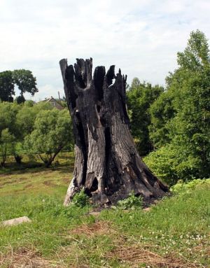 Vieksniu baublys1.MKE.2012-07-06.jpg