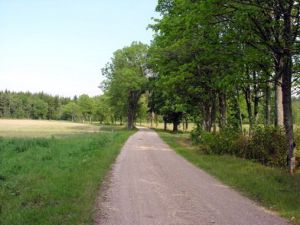 Zalione1.MKE.jpg