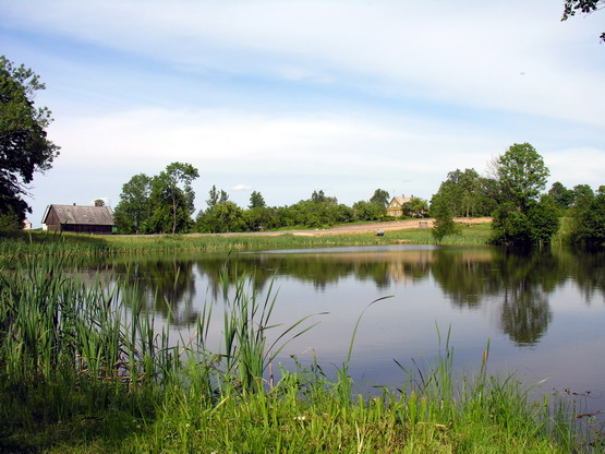 Vaizdas:Dagiu tvenkinys.MKE.2008-06-27.jpg