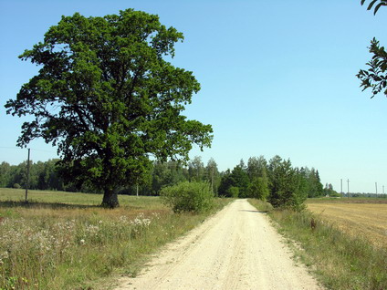 Vaizdas:Marskone. MKE.jpg