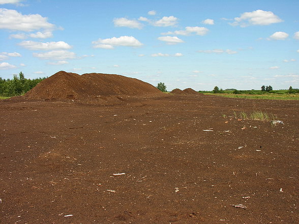 Vaizdas:Raudonosios durpynas.MKE.2009-08-09.jpg