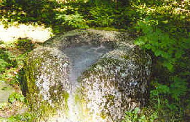 Vaizdas:Skuodiskiu dubeniuotasis akmuo. MKE.jpg