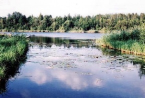 Medžialenkės ežeras